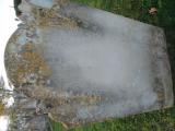 image number C1_275